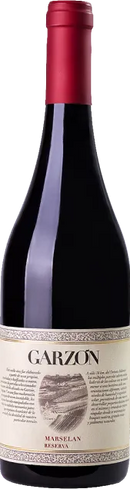 GARZON RESERVA MARSELAN