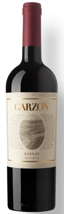 GARZON RESERVA TANNAT 2019
