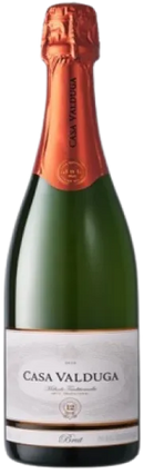CASA VALDUGA ARTE BRUT