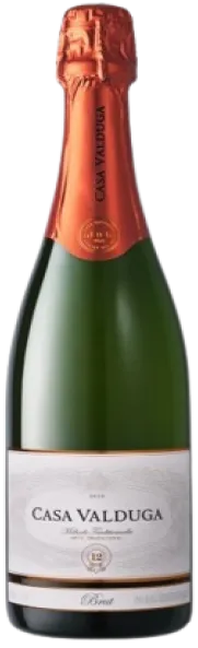 CASA VALDUGA ARTE BRUT